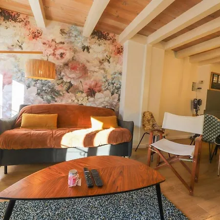 Le Fleuri Pretty Triplex In The Old Town * Annecy